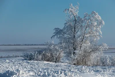 Зима в Предуральский степи — Фото №331035