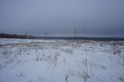 Зима. Степь. Оренбург. | Веселая жизнь | Дзен