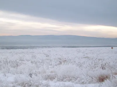 Природа Байкала | Зимой в Тажеранской степи