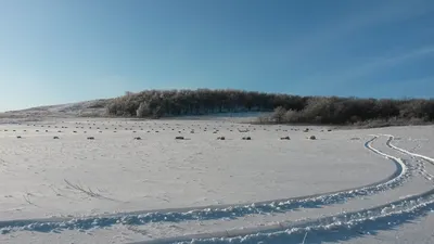 Как выглядит степь зимой в Оренбургской области | Пикабу