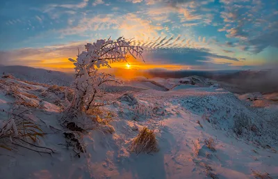 картинки : пейзаж, дерево, природа, горизонт, филиал, снег, зима, облако,  небо, поле, прерия, утро, мороз, Лед, Равнинный, Quebec, Замораживание,  Степь, Трава семьи, Экорегион 3072x1728 - - 1374032 - красивые картинки -  PxHere