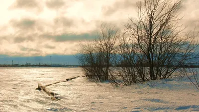 ❄️🌾Степь Зимой🌾❄️» — создано в Шедевруме