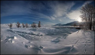 Утро в Курайской Степи. Фотограф Виталий из Н-ска