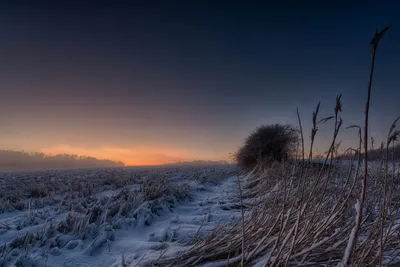 Предутренняя зимняя степь... / Охотничьи фото: Природа / Сибирский охотник