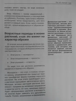 Как обрезать фотографию в PowerPoint? Потрясающая презентация в японском  стиле за 15 минут - YouTube