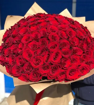 Букет из алых роз (101 шт) купить с доставкой в интернет-магазине за  38297р. Позиция № 45