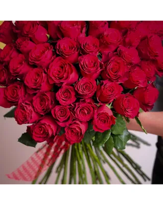100 длинных красных роз - Pink Petals - Доставка цветов в Праге