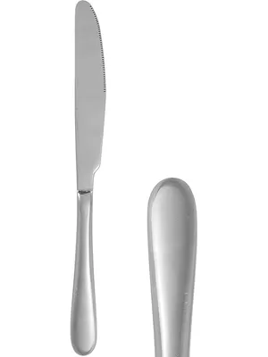 Нож столовый 12 штук RUDA МОСКВА нержавейка - купить с доставкой по  выгодным ценам в интернет-магазине OZON (292123884)