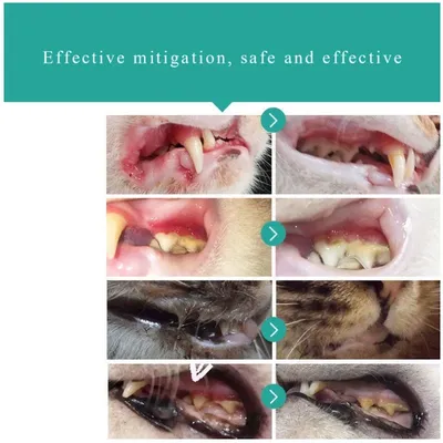 Спрей для стоматита домашних кошек, 30 мл, слюнятие кошек, неприятный запах  дыхания, стоматит, отек десен, воспаление, пародонтис | AliExpress