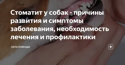 Папилломатозный стоматит у собак: что это такое? | Александр Токарев | Дзен