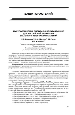 Изображения прекрасных цветов Странвезии