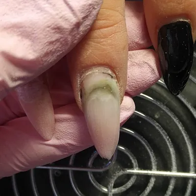 название товара wholesale искусственные ногти 24 штуки хэллоуин  классические страшные ногти квадратной формы тыквы| Alibaba.com