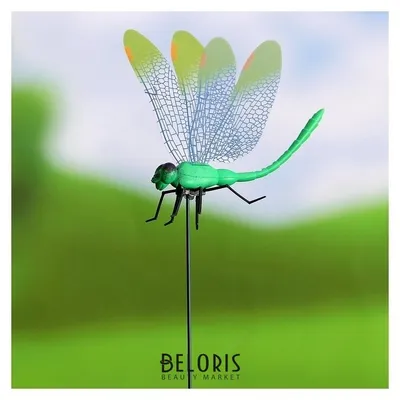 Orthetrum cancellatum - Стрекозы Беларуси (Odonata of Belarus)