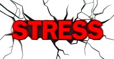 Стресс: взгляд невролога | Клиника Добрый Доктор г. Красноярск
