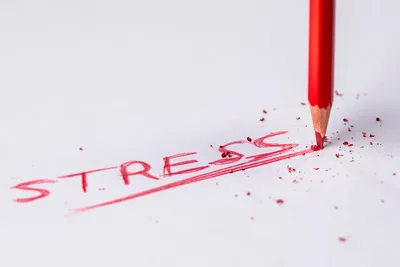 Стресс у подростков: чем родители могут помочь ⋆ MAXIMUM Блог