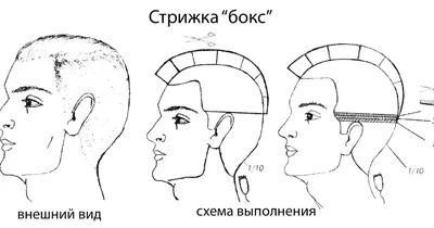 Всё о стрижках и прическах: Как сделать стрижку «бокс»