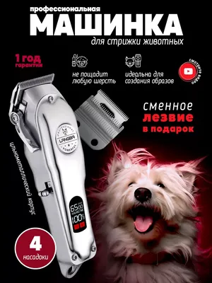 Купить Машинка для стрижки собак Sharer PROFI 4540 AT по цене 950 грн от  производителя