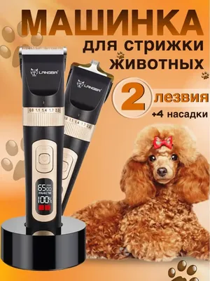 Машинка для стрижки собак пуделей (41 фото) - картинки sobakovod.club