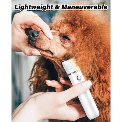 Машинка для Стрижки Собак и Кошек Pet Grooming Hair Clipper Kit Триммер для  Собак, Набор для Груминга (ТОП) — Купить на BIGL.UA ᐉ Удобная Доставка  (1677516727)