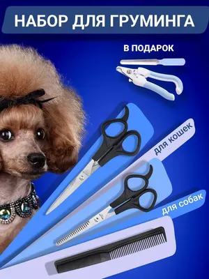 Машинка для стрижки собак и котов, Сборник шерсти для собак SHED PAL -  Aveopt - оптова дропшипінг платформа в Україні