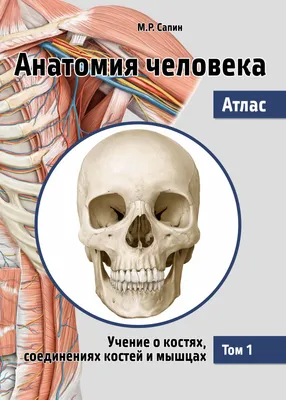 БИОЛОГИЯ Строение тела человека Биология купить по цене 3680,00 руб. в  Нижнем Новгороде