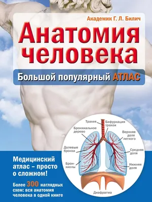 Анатомия человека: 2 издание (Габриэль Билич, Елена Зигалова) - купить  книгу с доставкой в интернет-магазине «Читай-город». ISBN: 978-5-69-984623-8