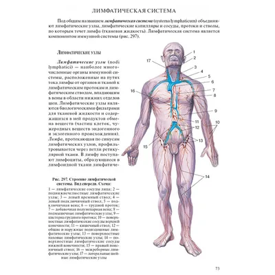 Calaméo - Анатомия человека Большой популярн атлас Билич 2015, 144с (1)
