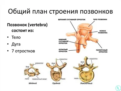 Медицинский центр Нейро-Мед в Астрахани. Лечение нервных заболеваний в  Астрахани. Оказание медицинских услуг.