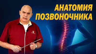 Рентген позвоночника. Где сделать рентген позвоночника в Москве. Снимки  шейного, грудного и пояснично-крестцового отделов позвоночника