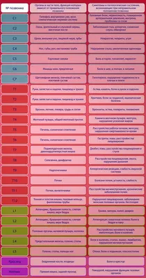 ПОЧЕМУ БОЛИТ СПИНА? Шейный, грудной и поясничный отделы позвоночника,  спинной мозг | Mednavigator.ru | Дзен