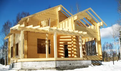Из какой древесины можно заказать строительство дома из бруса?