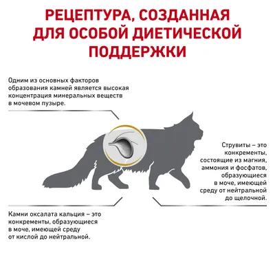 Струвиты у кошек - картинки и фото koshka.top