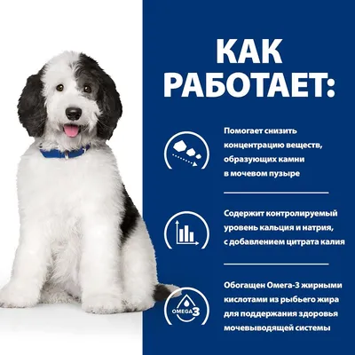 Hill's C/D корм для собак для профилактики мочекаменной болезни, струвиты,  уп. 1.5 кг - Купить с Доставкой по Москве