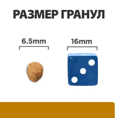 Royal Canin Urinary S/O LP 34 Feline корм сухой диетический для взрослых  кошек при мочекаменной болезни – купить в Москве, цены | Интернет-магазин  Динозаврик