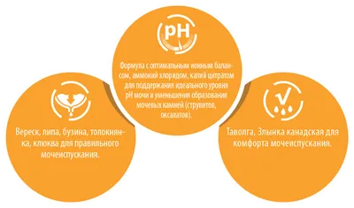 Farmina Vet Life Struvite - диетическое питание для собак при мочекаменной  болезни (струвиты) - купить в Минске Gavrik.by