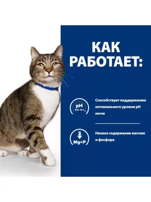 Сухой корм для взрослых и пожилых кошек всех пород Hill's Prescription Diet  c/d Multicare Urinary Care Профилактика МКБ (струвиты) на основе  океанической рыбы Хилс PD 5 кг