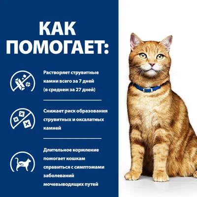 Купить PROTECT CHAT URINARY (УРИНАРИ) Лечебный корм при заболеваниях  мочевыводящих путей (струвиты и оксалаты) 2 кг 200340C4 в интернет магазине  Pro-Nutrition Flatazor UA