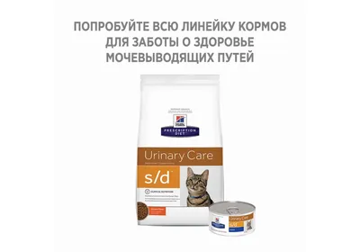 🥇2799 р. – Alleva Care Cat Adult Urinary 360° диета для взрослых кошек при  МКБ (струвиты) и предотвращения рецидивов, 1,5 кг купить в Калининграде с  доставкой 🐈 Интернет-зоомагазин «КАТИКО»