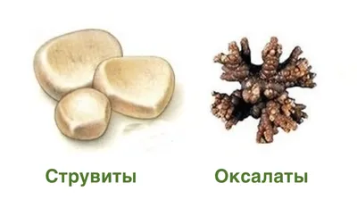 Hill's Корм для кошек S/D лечение МКБ струвиты 1,5кг