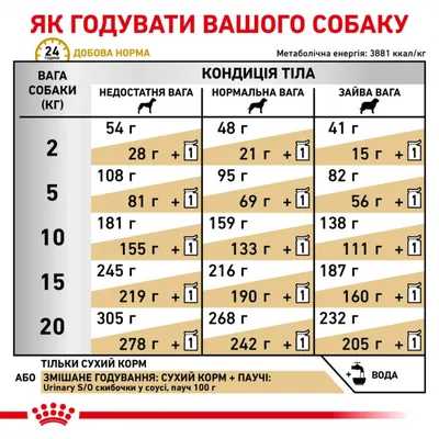 Чего мы не знаем, или думаем, что знаем, но ошибаемся, о МКБ у кошек  (образовании камней) | Мой обожаемый кот | Дзен