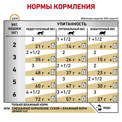 Мочекаменная болезнь у собак: симптомы, причины и лечение МКБ у собак