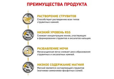 HILL'S PRESCRIPTION DIET MULTICARE СD CHICKEN – Хилл'c диета для взрослых  кошек для профилактики мочекаменной болезни с Курицей (струвиты) купить  недорого в интернет зоомагазине Зубастик-ДВ