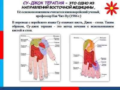 ТОЧЕЧНЫЙ СУ-ДЖОК МАССАЖ | ВКонтакте