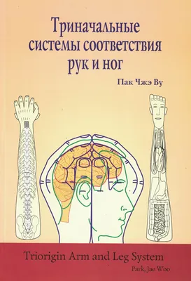 БЕСПЛАТНЫЕ РАССЫЛКИ📝🎓📚📖 on Instagram: “Су-джок терапия - уникальное  средство для развития речи у детей. Упражнения с использова… | Развитие  речи, Джоки, Терапия