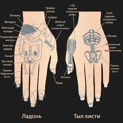 СУ-ДЖОК ТЕРАПИЯ ИЛИ СЕНСОРНЫЕ ДОРОЖКИ – тема научной статьи по наукам об  образовании читайте бесплатно текст научно-исследовательской работы в  электронной библиотеке КиберЛенинка