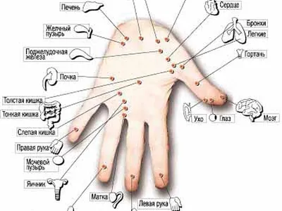 Су Джок Терапия - Язык Тела