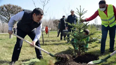 Субботник‑2021». – Новости – Окружное управление социального развития  (городского округа Клин)