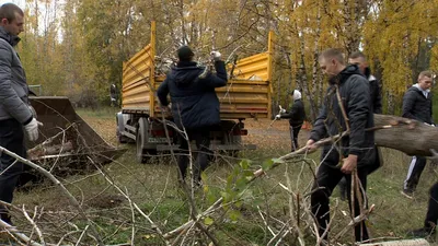 Все на субботник!\" - веселые объявления, в которых все настолько серьезно  что просто смешно | Адекватное родительство | Дзен