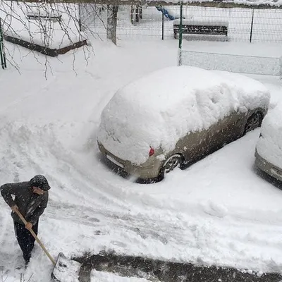 Впечатляющие сугробы снега на снимках