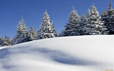 Впечатляющие сугробы снега в формате webp